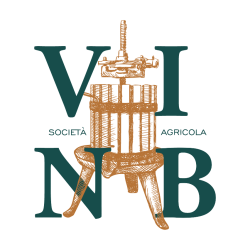 VINB_Logo_trasparente